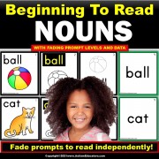 Nouns with Leveled Prompts and Data for Special Education and Speech Therapy